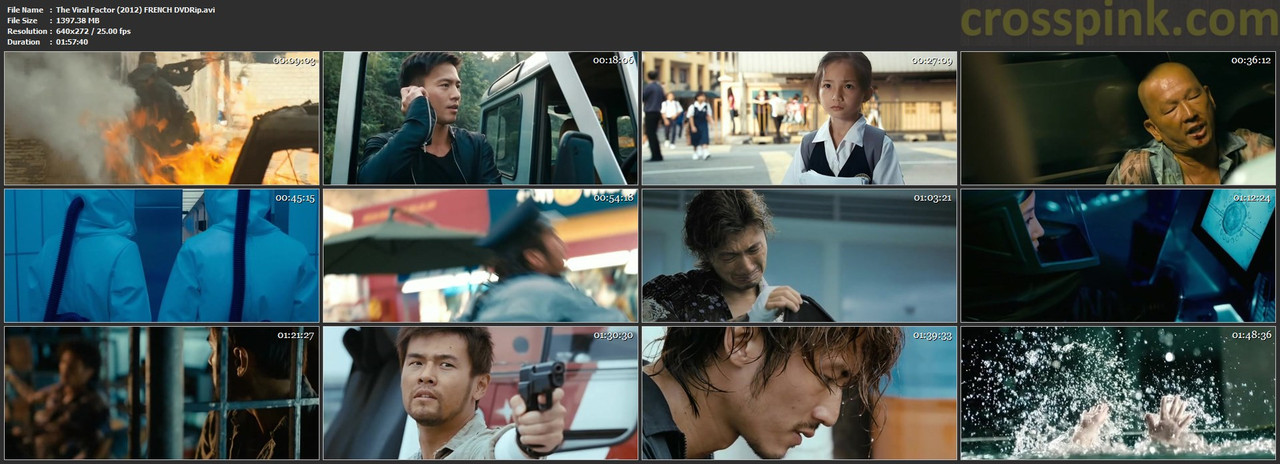 The Viral Factor (2012) FRENCH DVDRip.avi