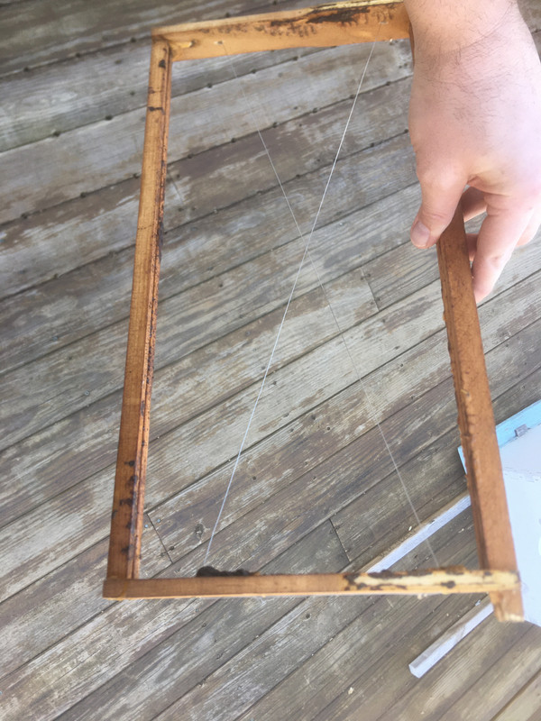 14-643FCE35-0BB1-46AF-A876-41A75D9F1693