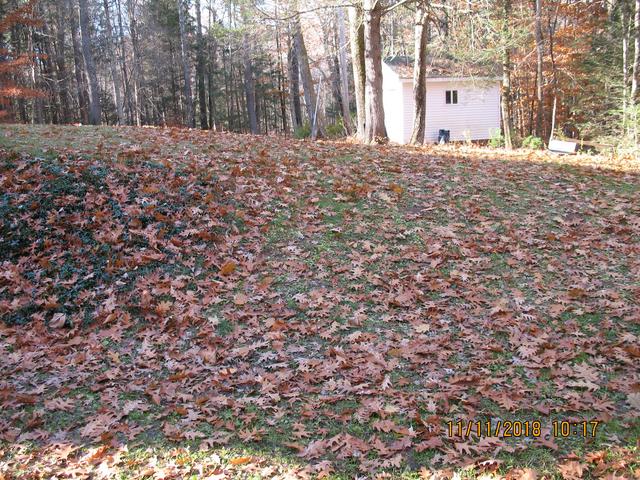 IMG-1817.jpg