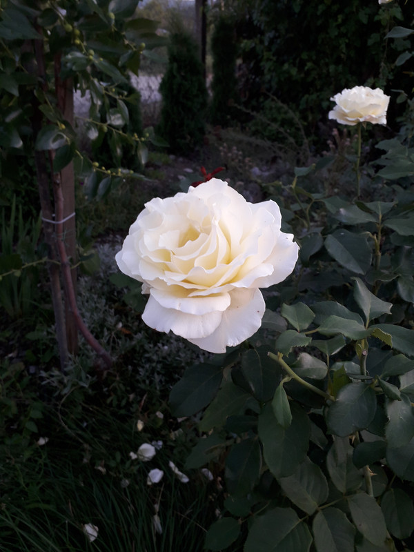 20190727_202406