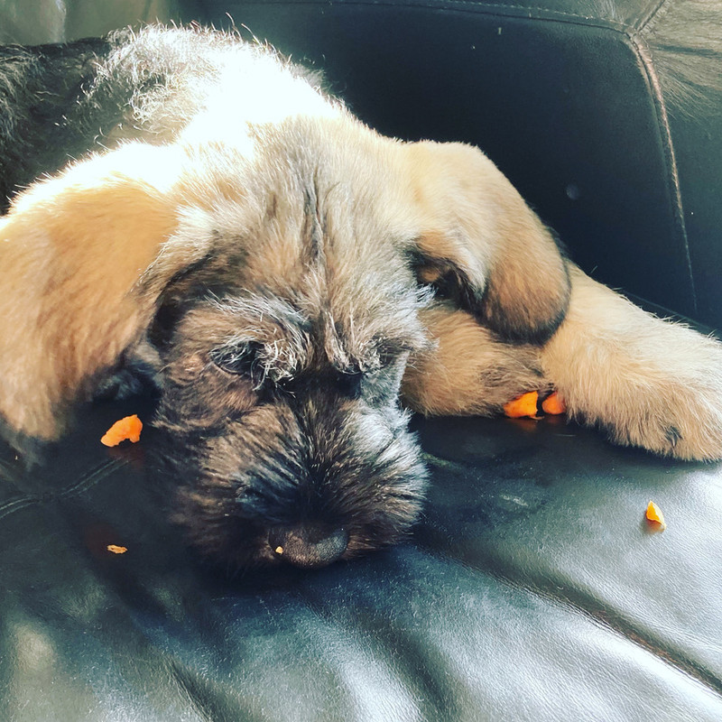 9809F6CB-927C-4791-B09A-CBFC633928AD_1_105_c