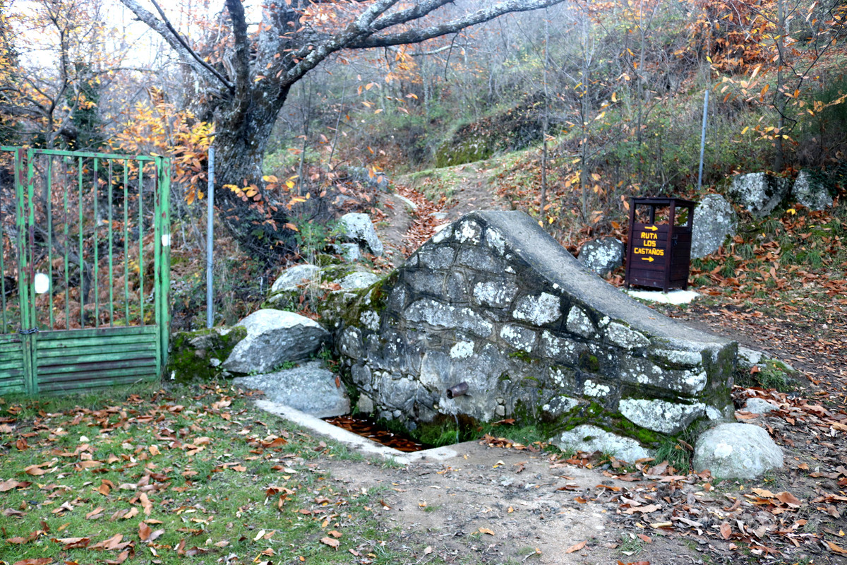 Castañar_RDPR_0245_03