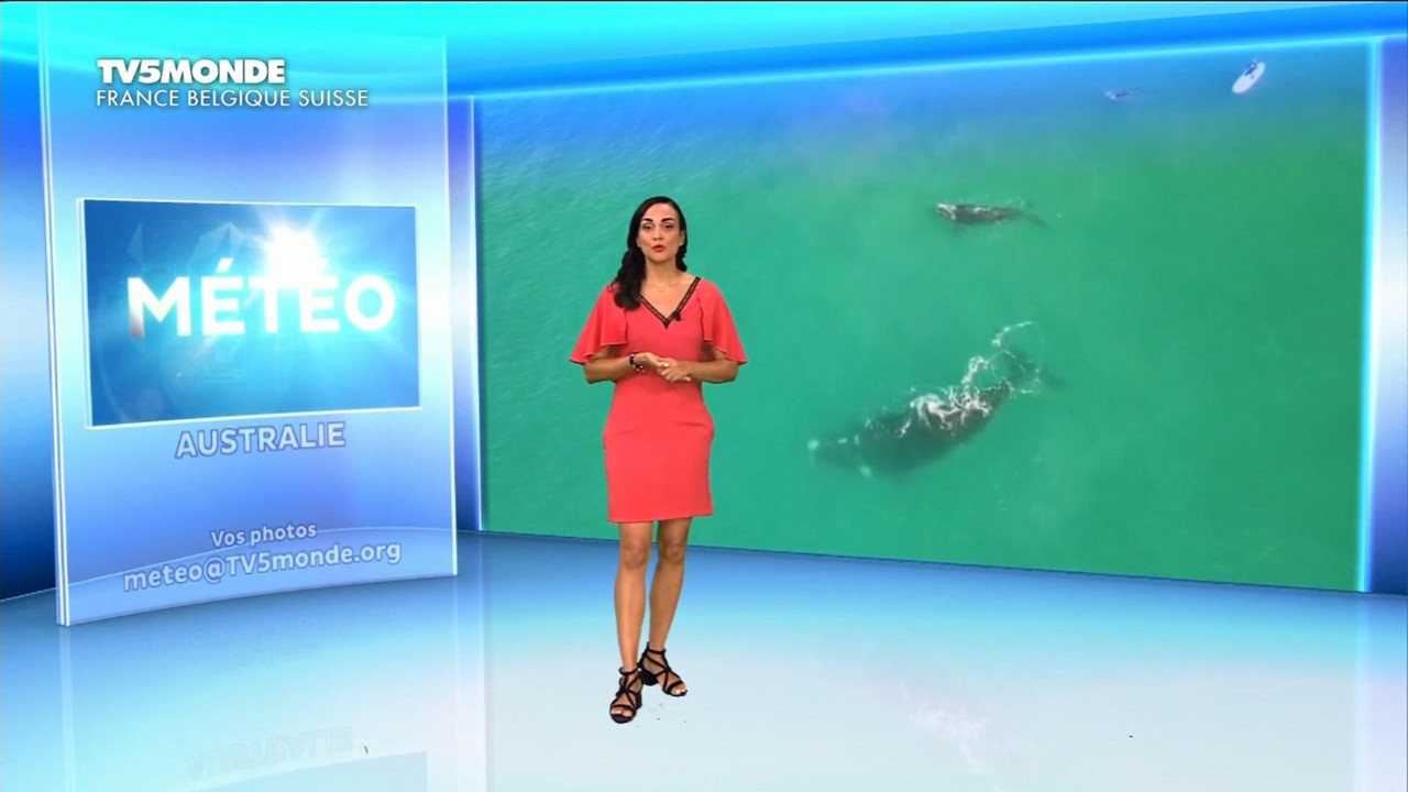 Talia Valenta 050820.mp4_snapshot_02.21_[2020.10.12_01.01.29]