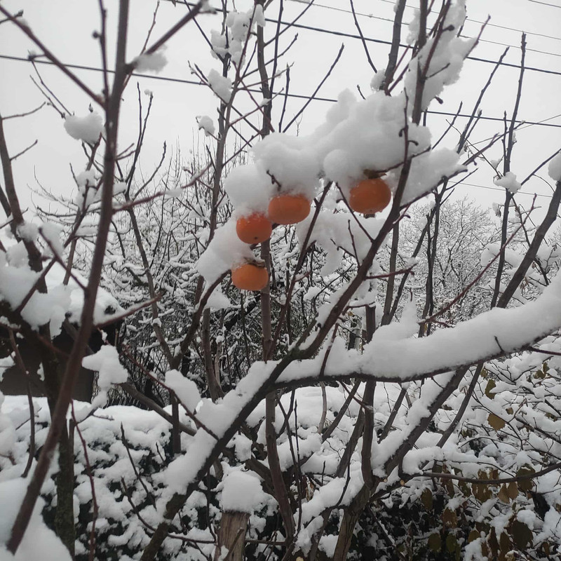 586077166 1719595865663142 7479497769971077565 n