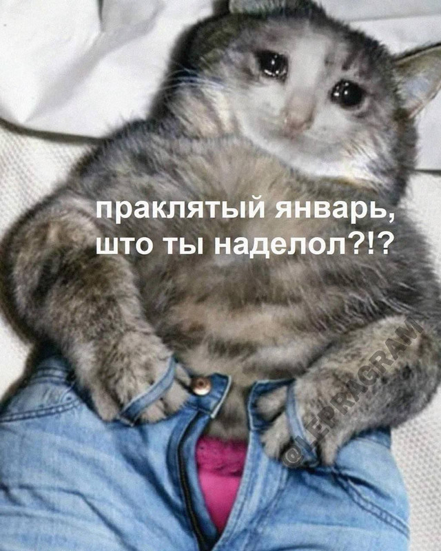 spacer.png
