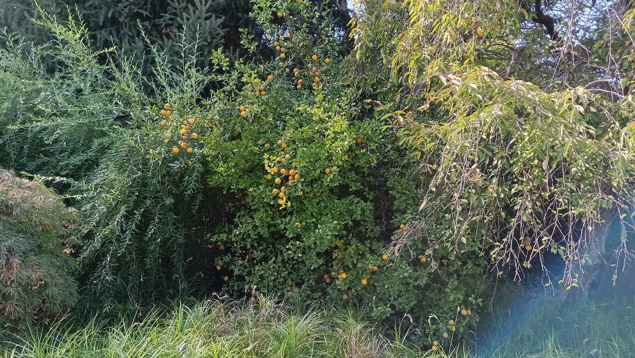 20231005_141308_HDR