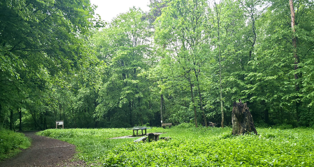 20260506-193048.jpg