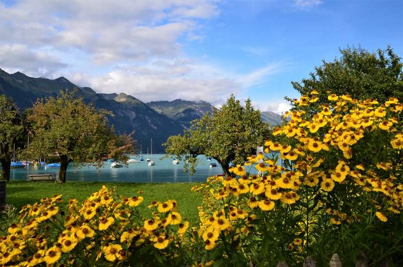 BRIENZ E ISELTWALD-9-9-2019 - Suiza y sus pueblos-2019 (43)
