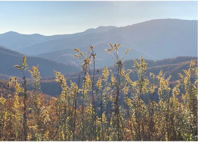[Image: Blue-Ridge-Pkwy2.jpg]