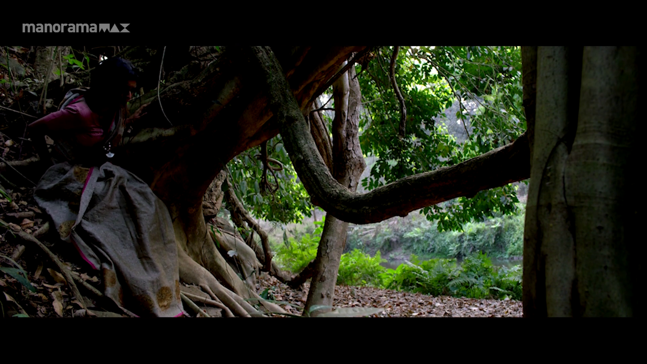 vlcsnap 2025 10 31 19h26m45s587