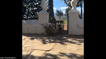 https://i.postimg.cc/1tMRTGGs/youtube-video-gif.gif