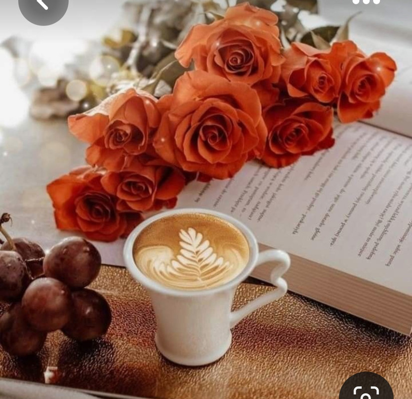 Screenshot_20230420_235237_Pinterest