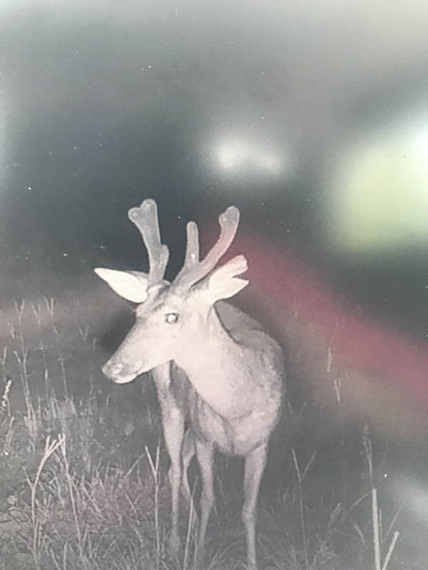 5C26187C-690E-4AFB-93AC-455A2B62E3E9