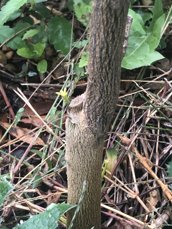 DC621660-DF1A-4017-AE06-84834C9CF35B