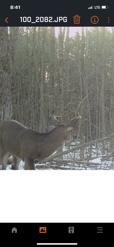 C2E39AB2-03EA-4668-A076-86790BA36F1C