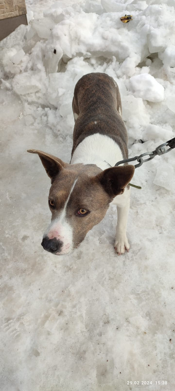 WhatsApp Image 2024-02-29 at 15.39.41 (1)