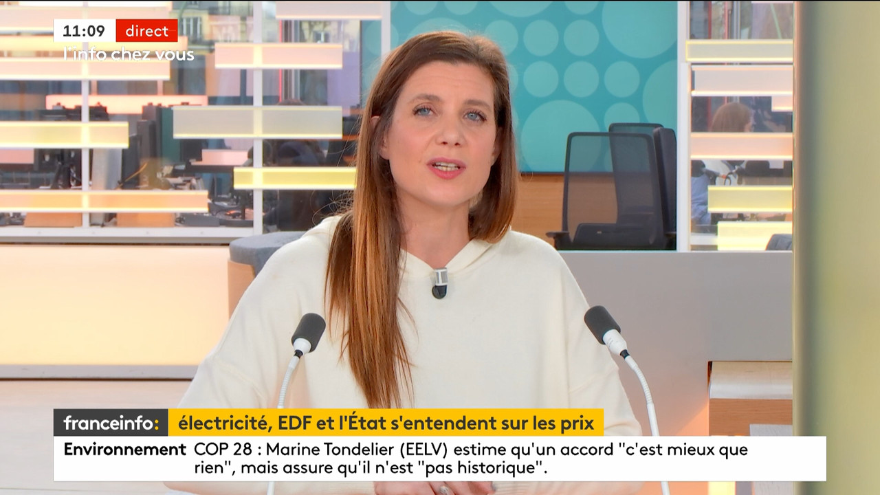 L'info chez vous (Franceinfo)_2023_12_14_09_24_04.ts_snapshot_00.46.30.591