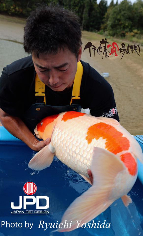 15941171_1696860930605477_4458705427196854397_n