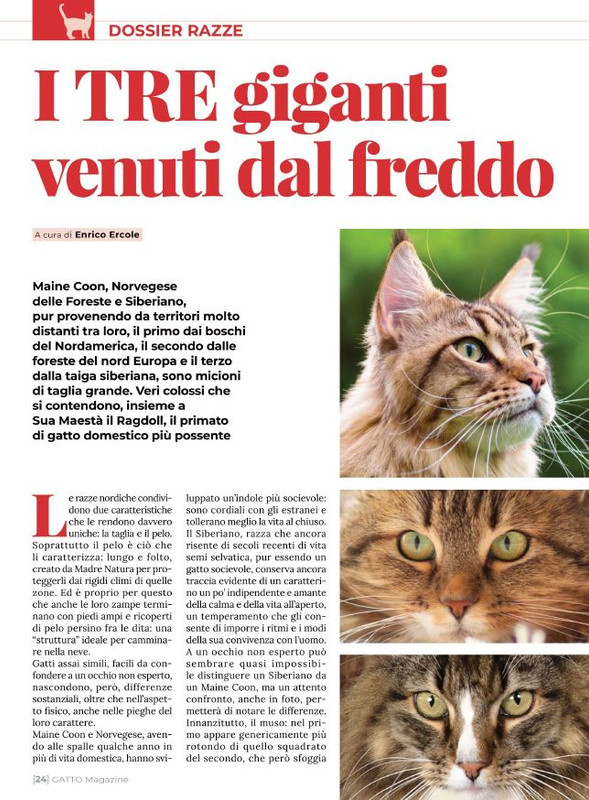 Ga Ma Dic 2021-Gen 2022 (3)