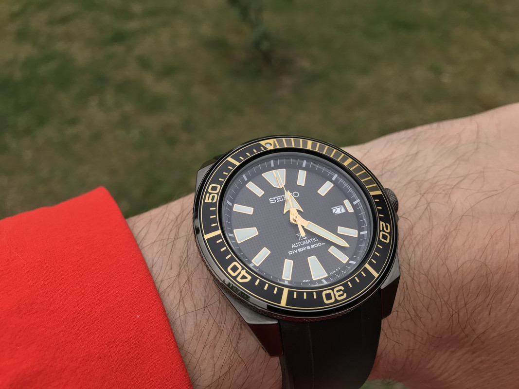 03-B384-E0-2-DA5-4-C00-825-A-D13-E0259-F