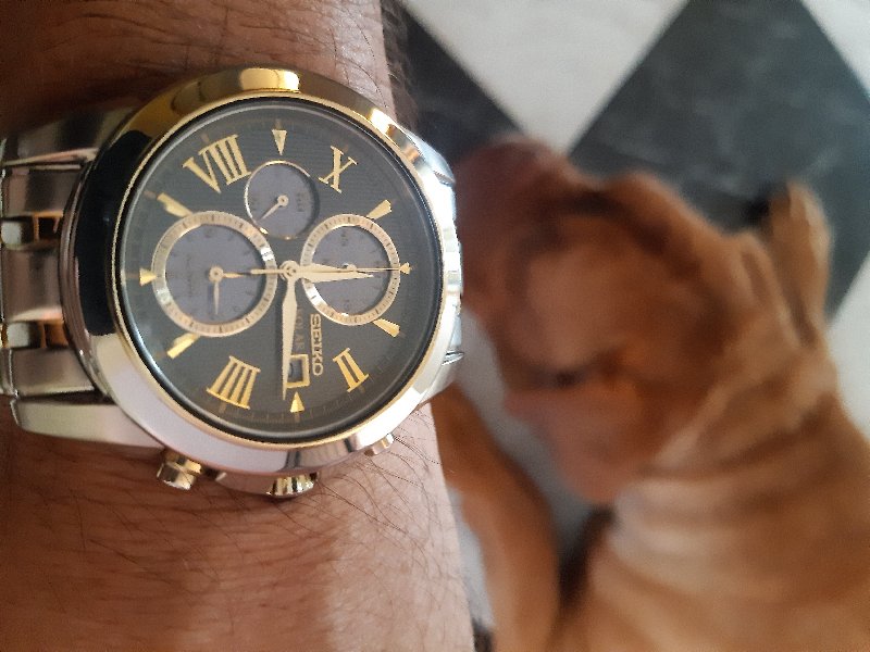 Seiko Crono solar - Njal759