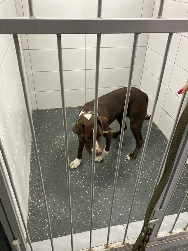 88DFB5D7-49DA-4E06-9383-BA5A3F24FBFB