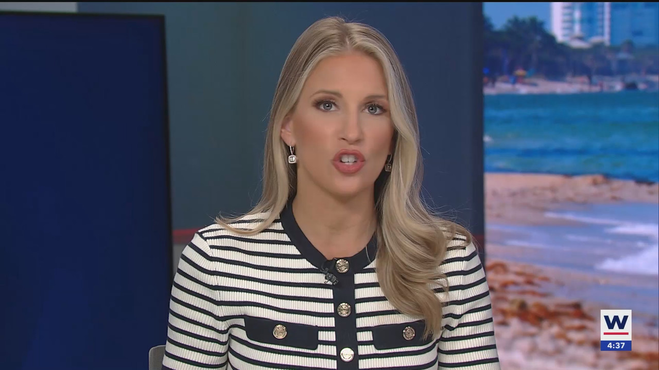 03.19 - 20.00.00 - WINK News at 4pm  ᴺᵉʷ. Local and regional news..ts_snapshot_00.38.59.184