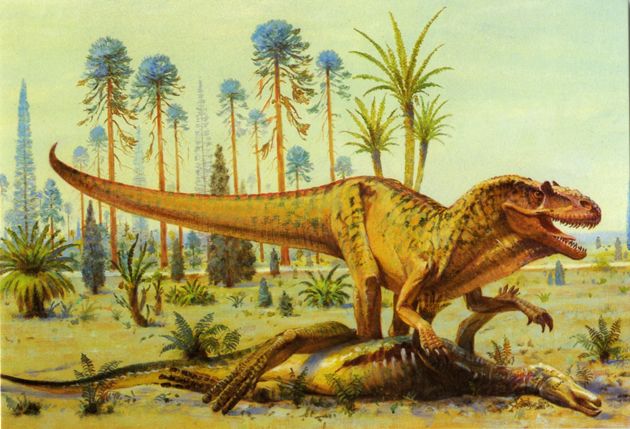 91cdb617d05eba2a3dbe57717672d24e