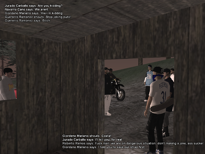SS5.png
