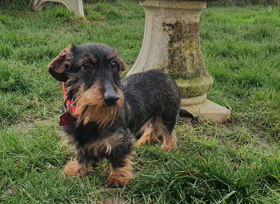 [Image: nico-coquin.jpg]