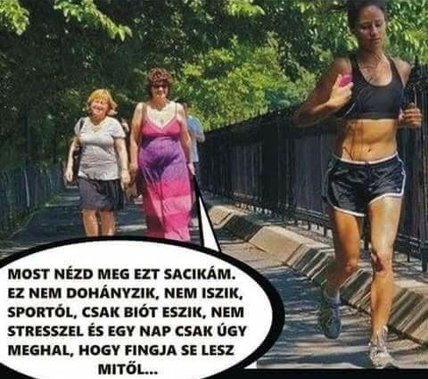 https://i.postimg.cc/1tQ4ZCnq/most-nezdmeg.jpg