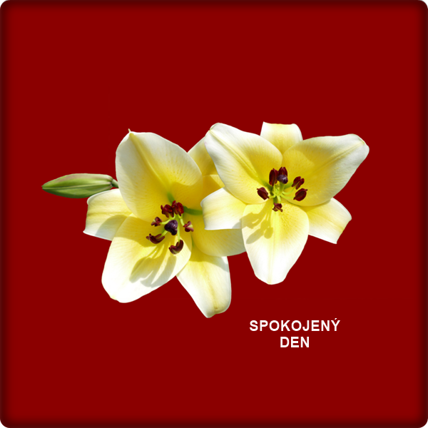 An den Beitrag angehängtes Bild: https://i.postimg.cc/1tQ5q3j3/isolated-2496752-1920.png