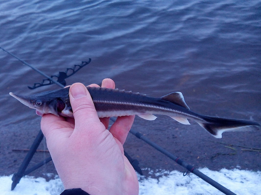 Добрянка 14.12.14 01