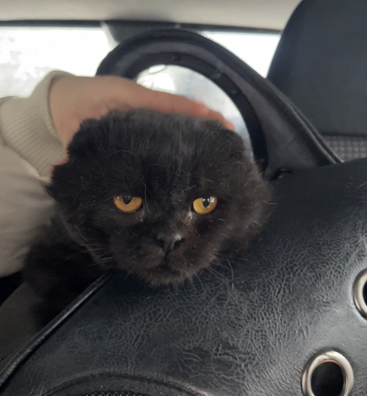 48DF3F04-DDC5-4B26-9F78-F7BFD1913DE2