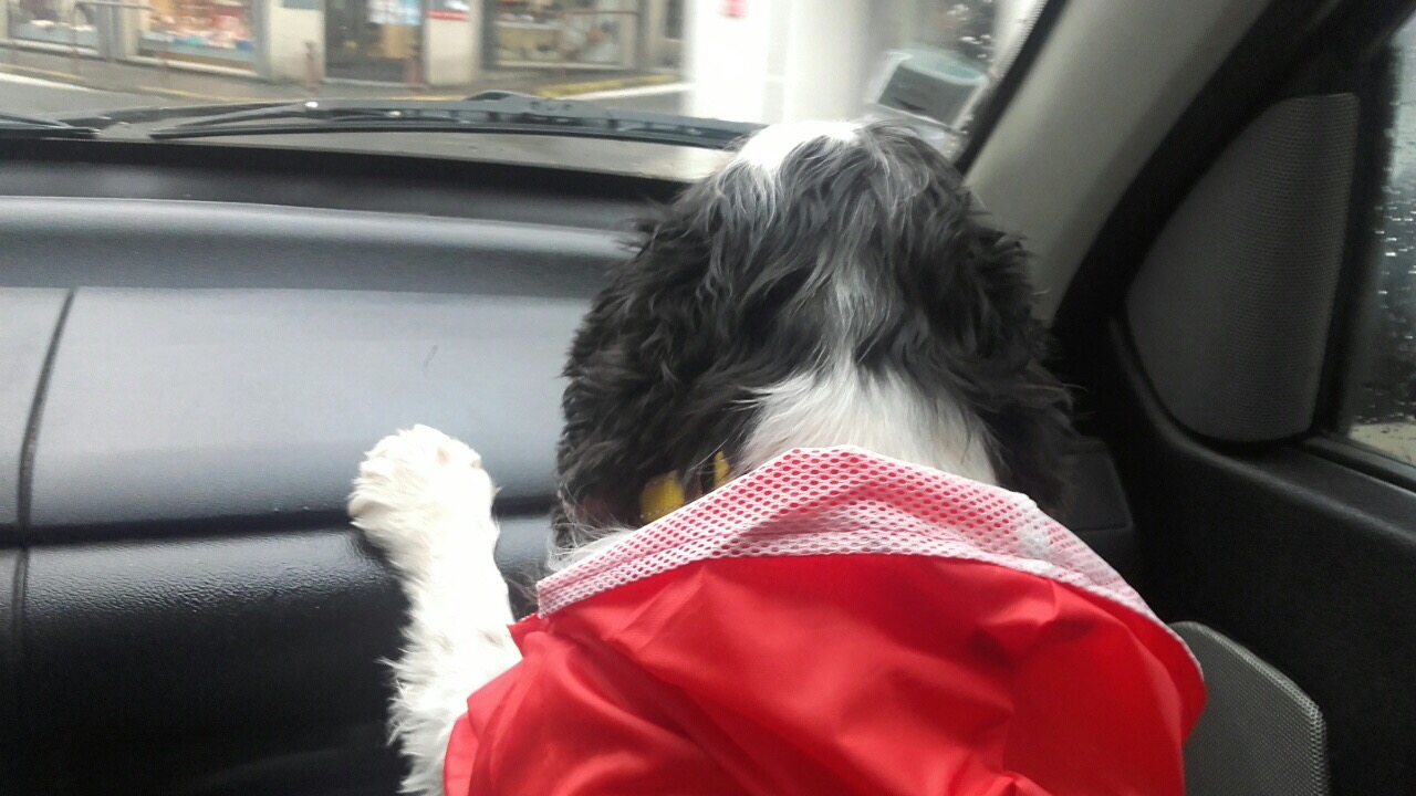 5147FB11-BE89-45A8-B1A1-A33C8AC55810