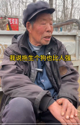 https://i.postimg.cc/1tQT5PFk/imige-17.png