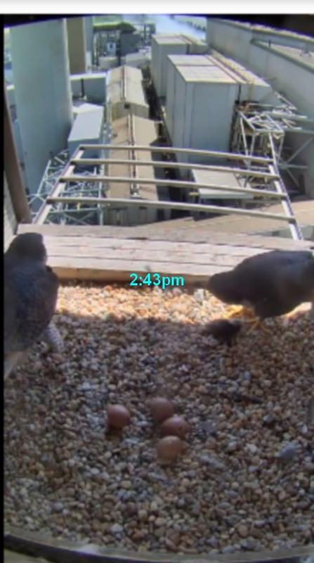 mill creek april16-5-2019