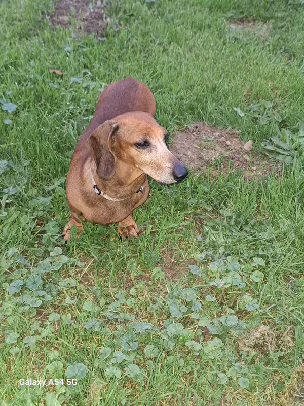 [Image: 20241109-173035.avif]