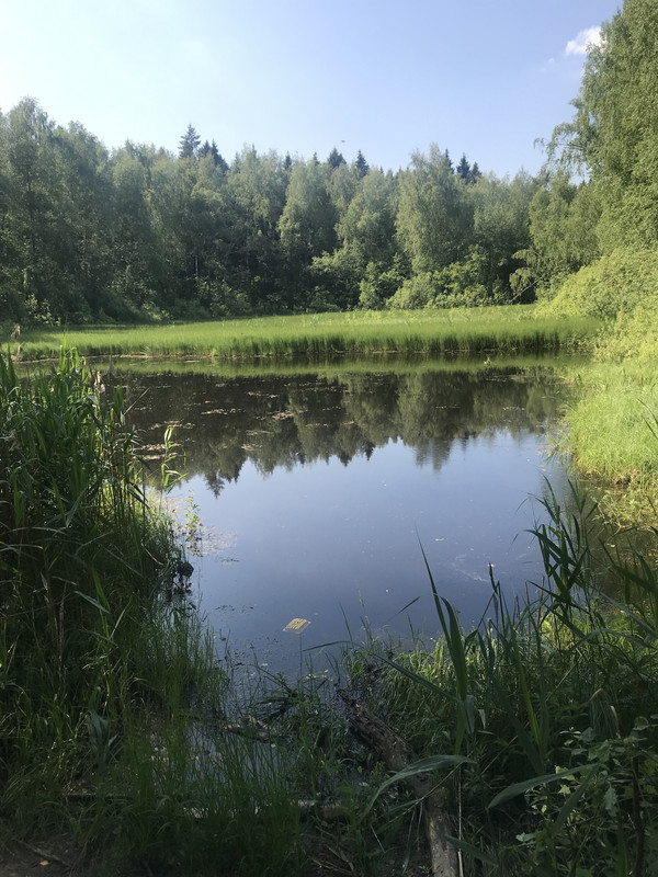 27A09BAD-6F1A-47FF-A7AA-A131EA487CB8