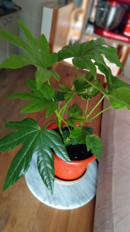 450455049_866797955319519_493180863106285030_n