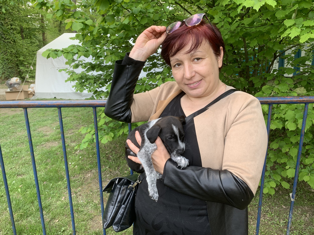 Psić traži najboljeg prijatelja