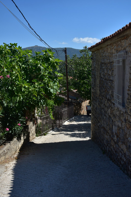 Καρυά (19)