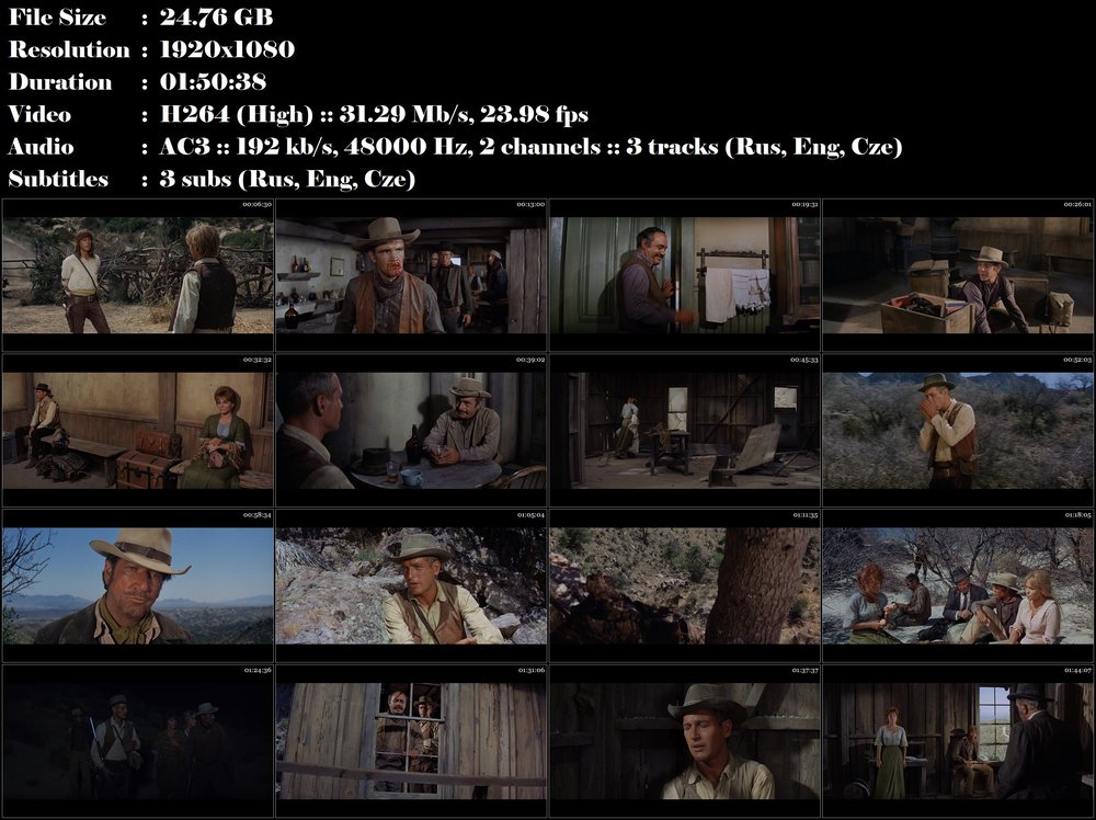 Re: Hombre (1967)