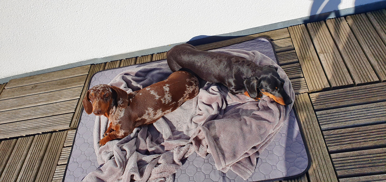 [Image: 20220418-094456.jpg]