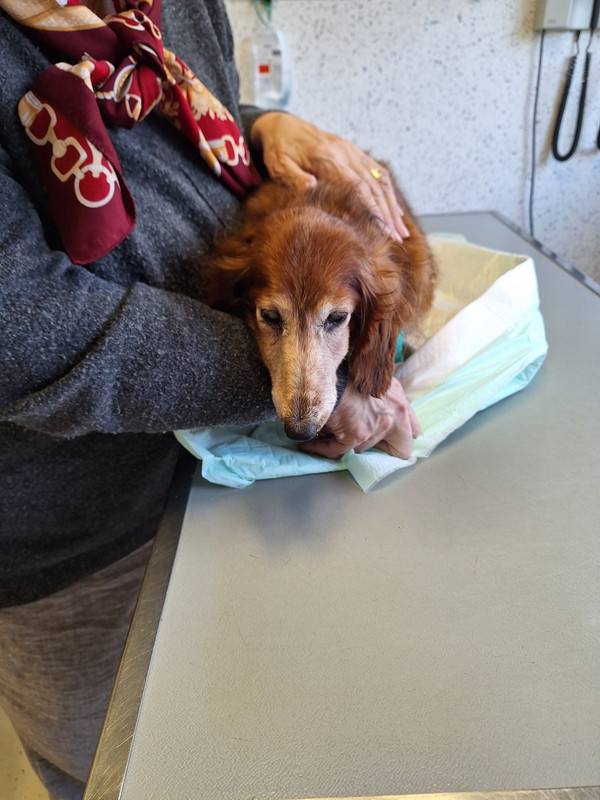 [Image: 20240305-165800.jpg]