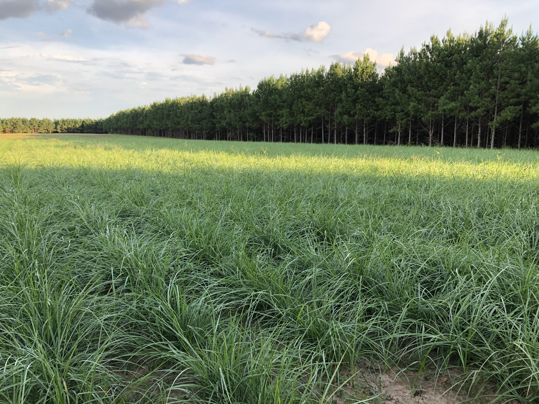 EF67838C-15DB-48D3-95C5-D3AC276AE796