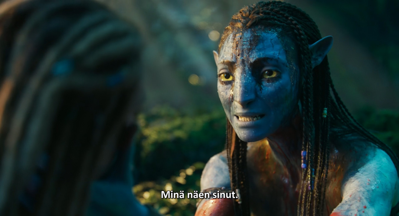 Avatar Fire and Ash (2025) 1080p AMZN WEB DL x265 10b ITA ENG MULTISUB GEGE mkv snapshot 02 16