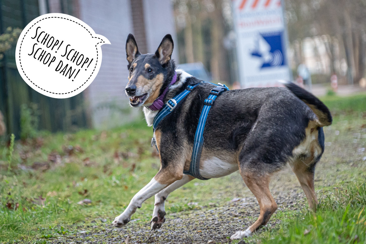 243CA4C5-F5DE-4691-9159-41573C78DBE2