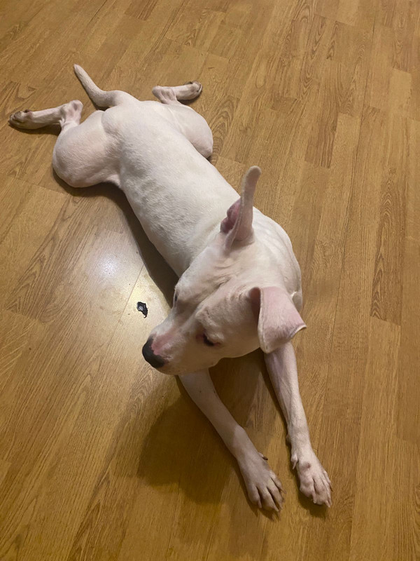 2B85596D-9311-41A4-A04E-DC4981538DD3