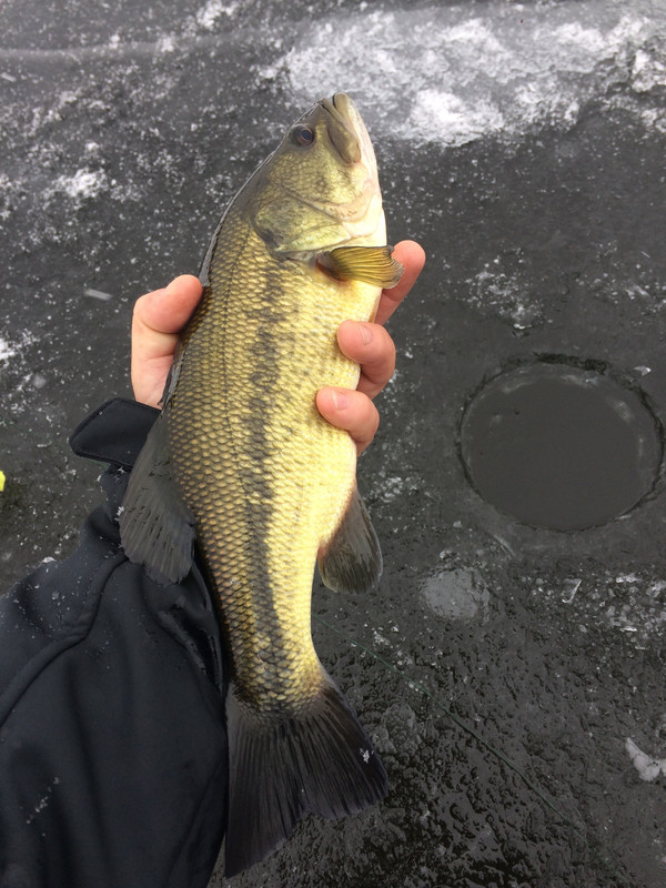 1B96E346-972B-4B94-9311-5BB03AB40C8F